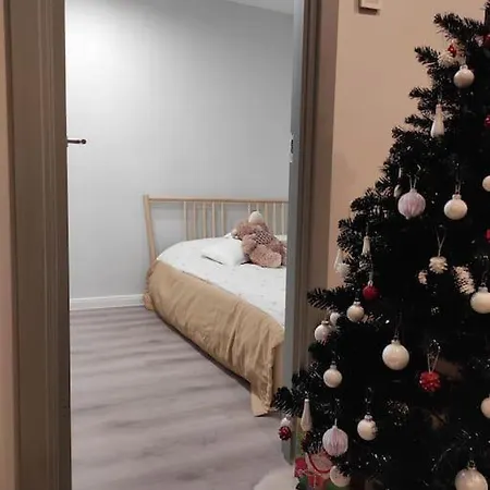 Modern House Apartament